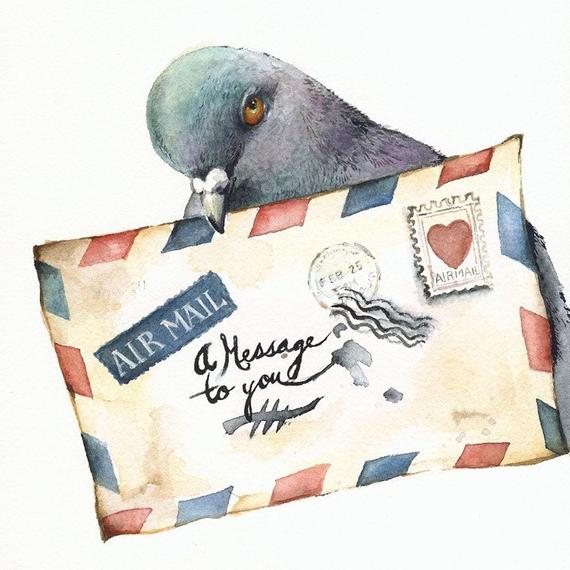 Contact us Pigeon Collette with envelope ready to contact us
